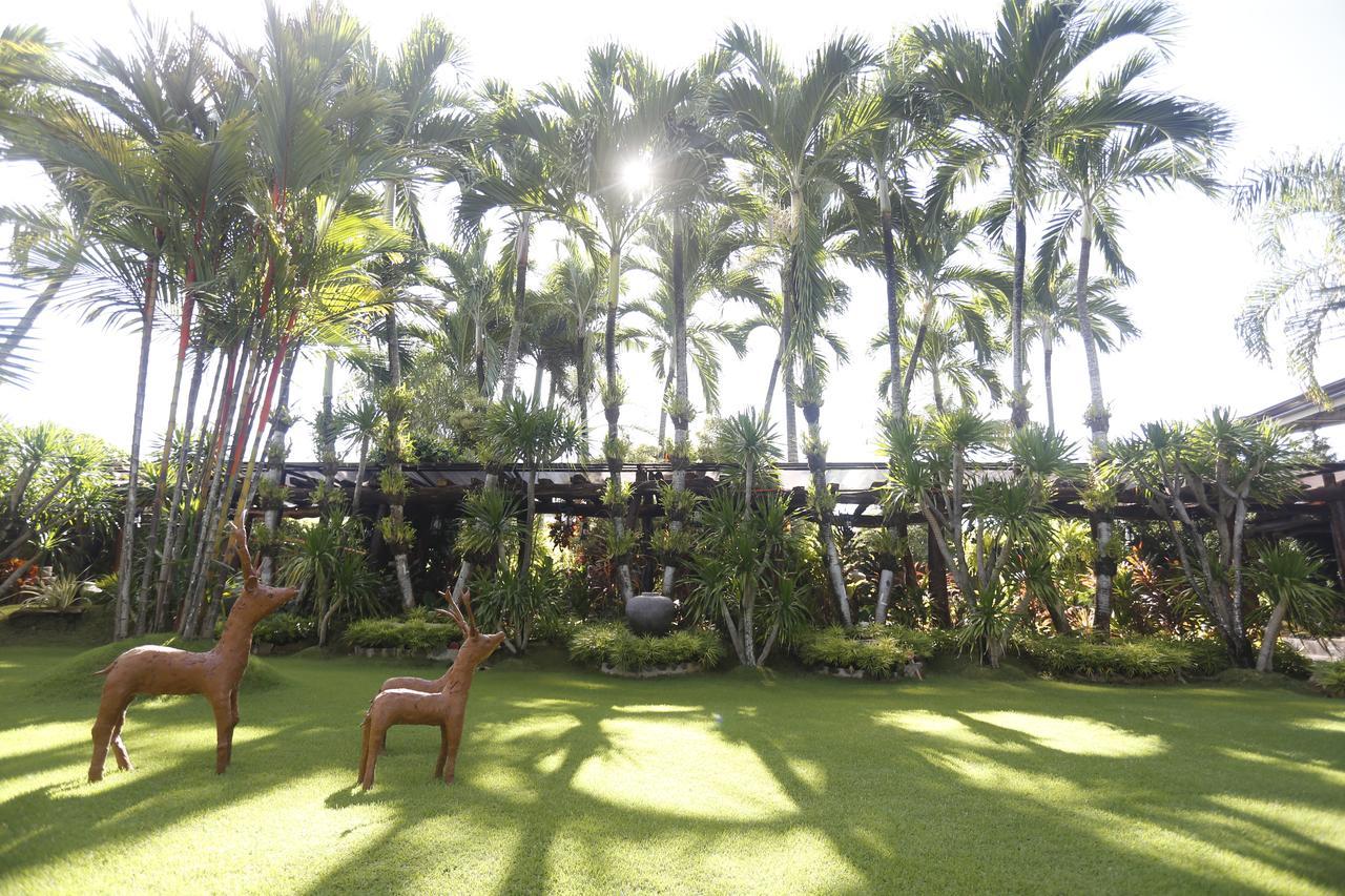 Victoria'S Haven Bed and Breakfast Dumaguete City Eksteriør billede